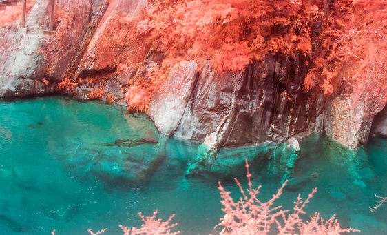 Turquoise clear water, red foliage on rocks.
