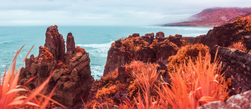 Dramatic rocks (the pancake rocks) infront of the sea. Red ferns.