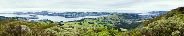 A veeeery wide panorama of the Otago peninsula, with interlocking farm, forest, and sea.