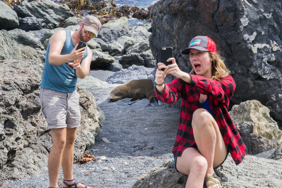 Sam and Britt take selfies with a sleepy seal.