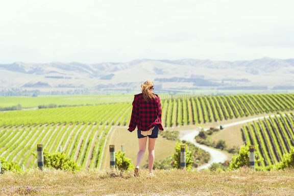 Everything is bright again! Britt walking away infront of rows of grapes.