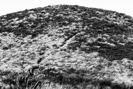 The side of a hill; a few small people visible in the lower left if you pay attention and look real close.