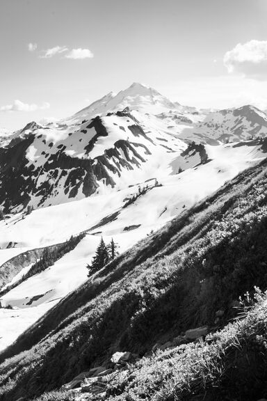 A gigantic snow-capped mountain (Mt Baker), snow covered and shining in the sunlight
