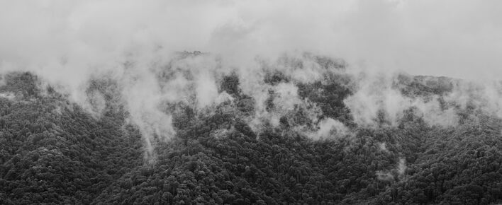 A wide panorama of a forested mountain ridge, whose crest is covered by clouds and fog