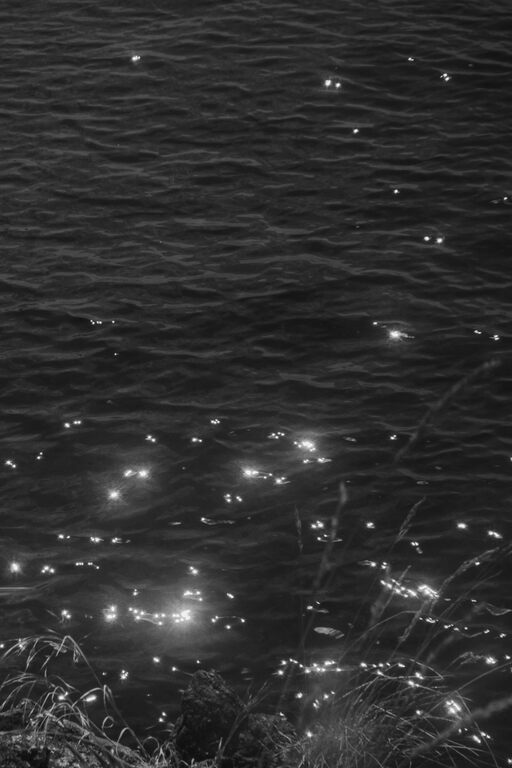 Bright reflected spots of light, shimmering off a body of water