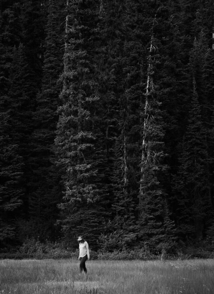 Britt walking through a field in front of a very tall-looking stand of firs