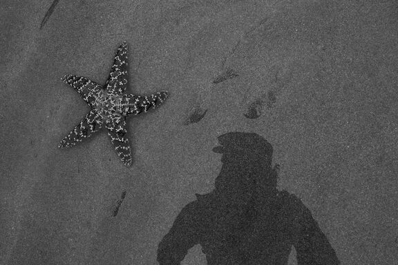 A starfish in some watery sand, next to a reflected silhouette of the photographer